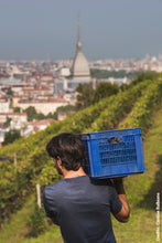 Carica l'immagine nel visualizzatore di Gallery, Freisa di Chieri DOC Superiore "Vigna Villa della Regina"