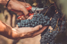 Carica l'immagine nel visualizzatore di Gallery, Box "Incontro con la Regina"