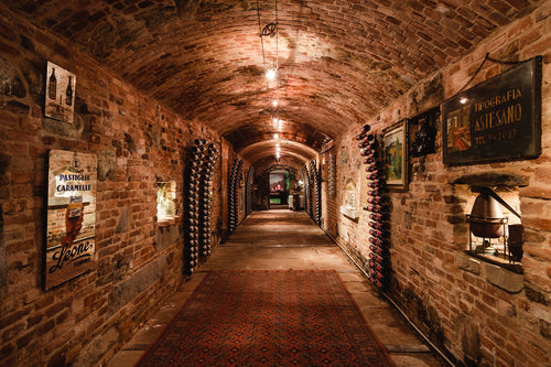 Visita & Degustazione rinforzata - MINIMO 4 PARTECIPANTI