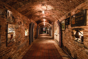 Visita & Degustazione rinforzata - MINIMO 4 PARTECIPANTI