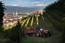 Carica l&#39;immagine nel visualizzatore di Gallery, Scatola Deluxe &quot;Vigna della Regina&quot;